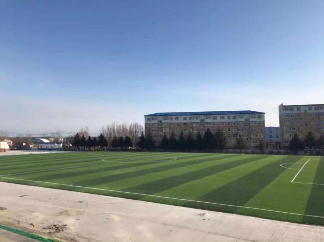 人造草坪的发展趋势是怎样的