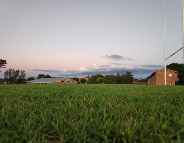 人造草坪的用途有哪些？