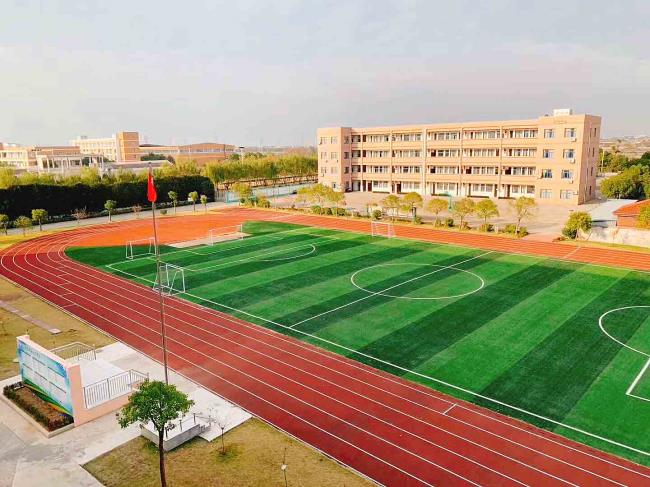 排球场能应用仿真草坪嘛？