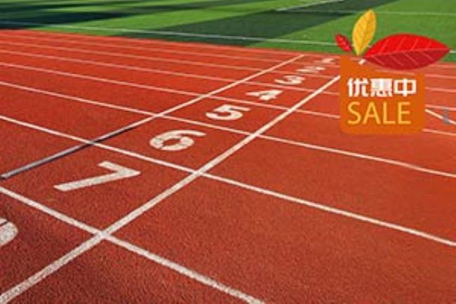 新国标EPDM跑道颗粒